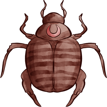 Beetle
